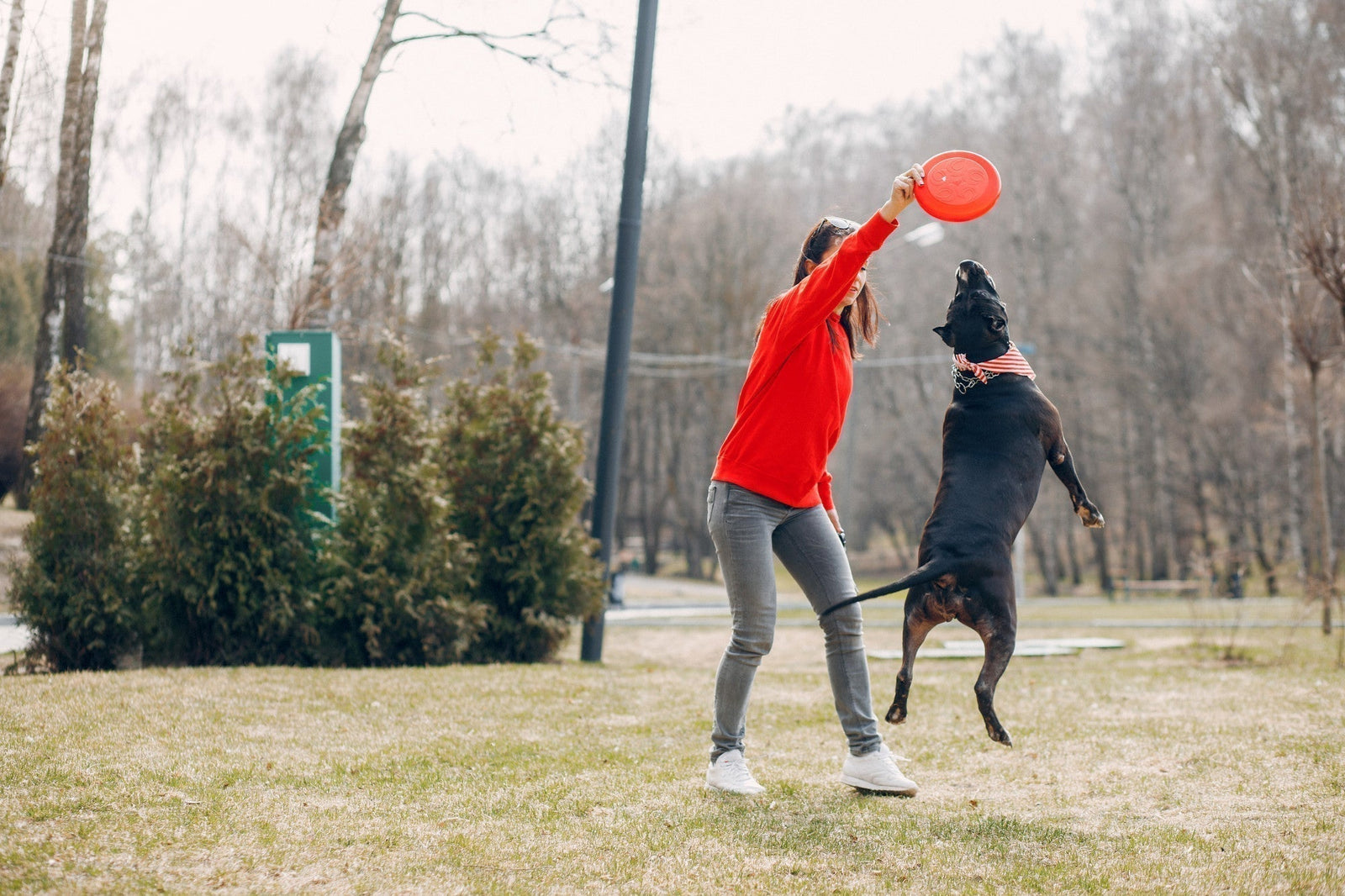 Jumpstart Canine Fitness Month: How Freezbone Toys Get Your Dog Moving!