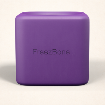 Freezbox - Super Tough Treat Toy
