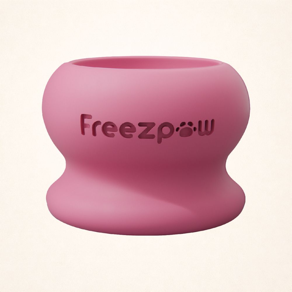 AUCTION ONLY - FreezPounce Cat Durable Fillable
