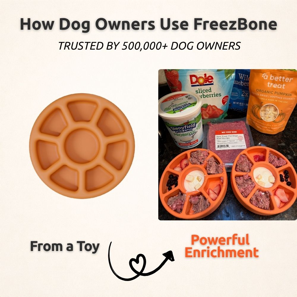 Freezbone Complete Dog Enrichment Bundle