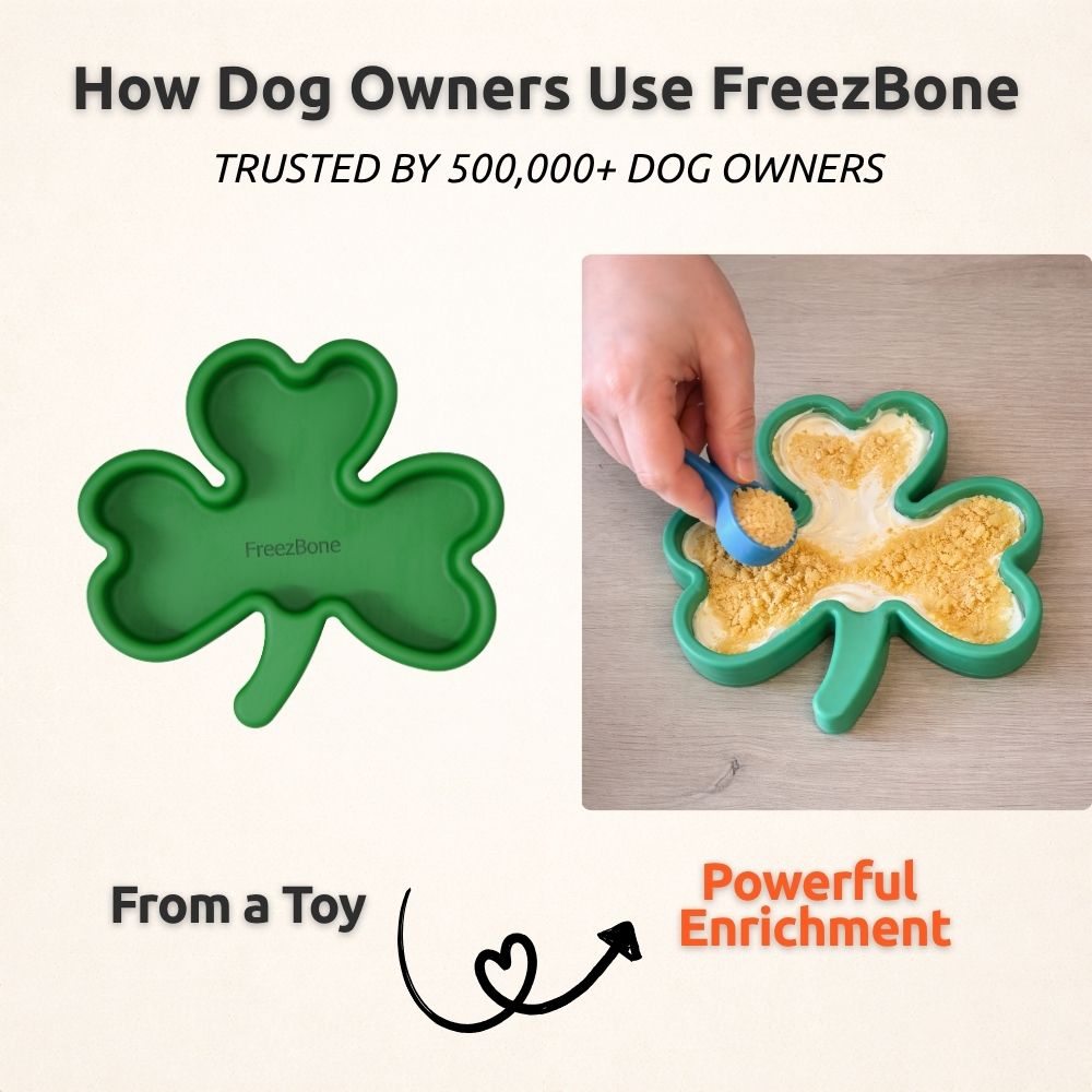 AUCTION ONLY - FreezShamrock - Premium Enrichment Toy