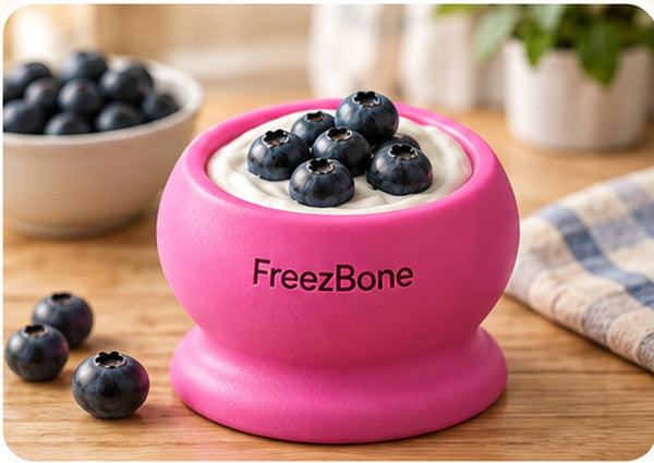 freezball recipe yogurt blueberries