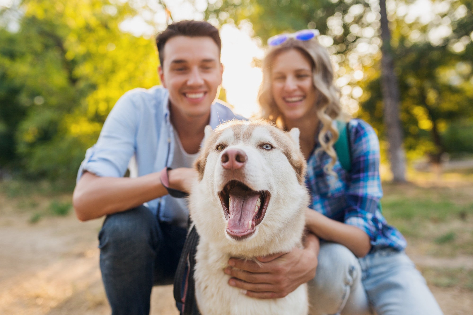 Dog In May May Is for the Dogs: 4 Ways to Celebrate Your Pup All Month Long ...