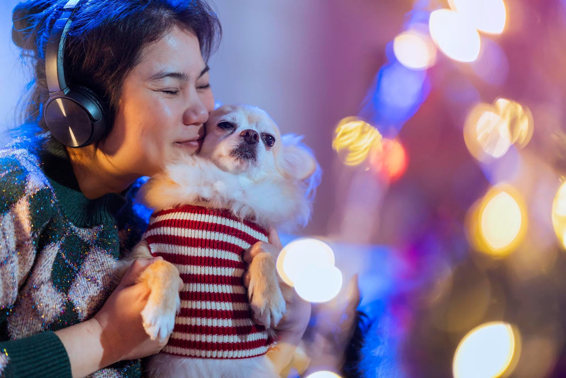 FREEZBONE New Year's Resolutions Your Dog Will Actually Keep