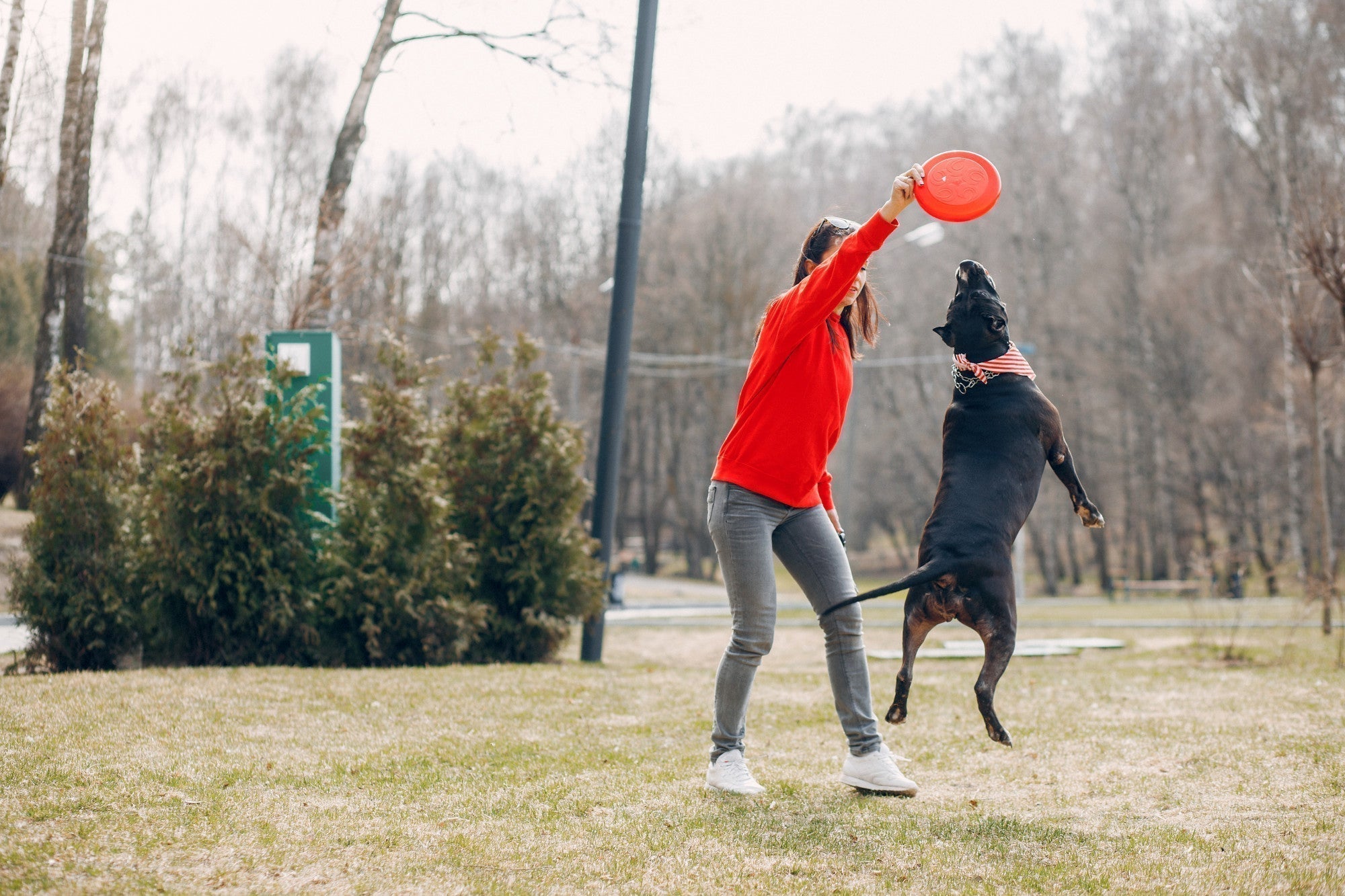 Jumpstart Canine Fitness Month: How Freezbone Toys Get Your Dog Moving!