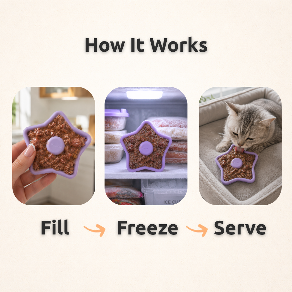 Cat-Safe Frozen Fills: The List Is Not the Same as Dogs