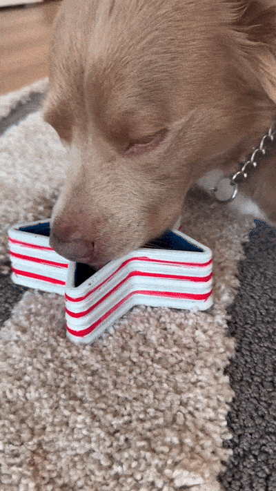 Red, White & Blue Frozen Dog Treat Recipes