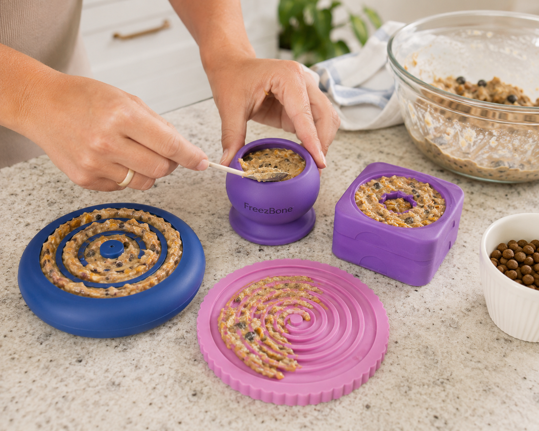 How to Choose a Fillable Freeze Toy? What Actually Matters