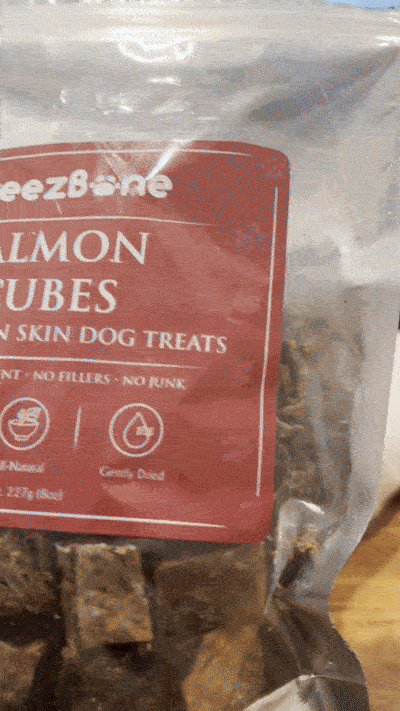 Summer Safety: 5 Frozen Dog Treat Recipes to Beat the Heat