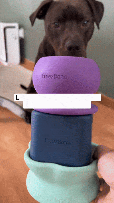 7 Days, 7 Small Shifts: Improve Your Dog’s Mental Health This Week
