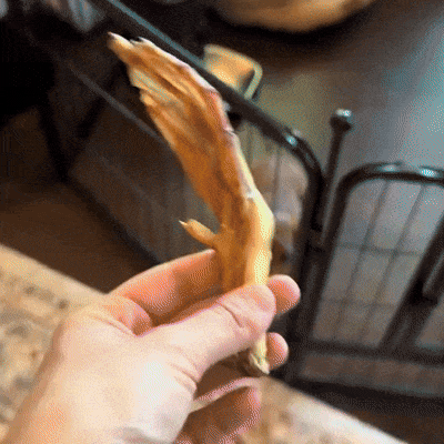 Calming Treats for Dogs: Do They Really Work?