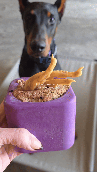 Easy Thanksgiving Recipes for Dogs: Turkey, Sweet Potato & Peanut Butter Bites
