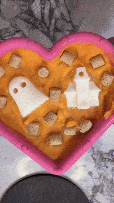 5 Ways to Include Your Dog in Trick-or-Treating Fun