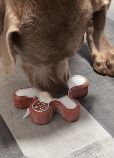 Why Dogs Love Peanut Butter (And How to Serve It the Healthy Way)