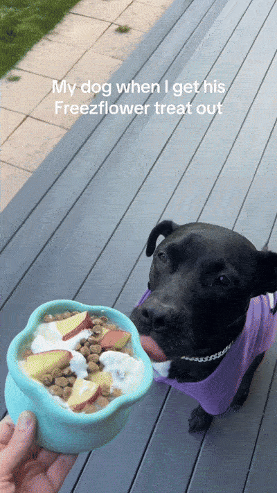 The Ultimate Spring Cleaning Checklist for Dog Owners!