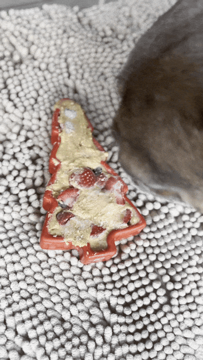 10 Healthy Homemade Christmas Dog Treat Recipes You Can Freeze in Your Freezbone