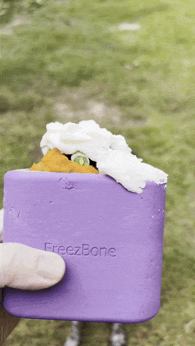 Top 5 Fall Recipes to Savor with Freezbone