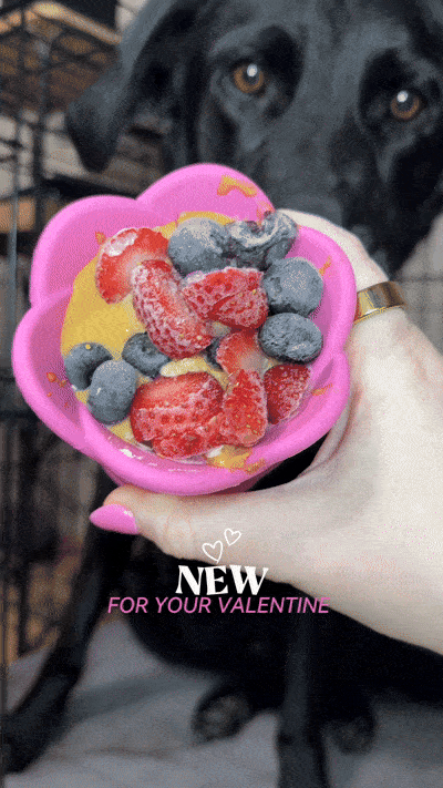 Frozen Treats and Dental Health: Myths vs Facts