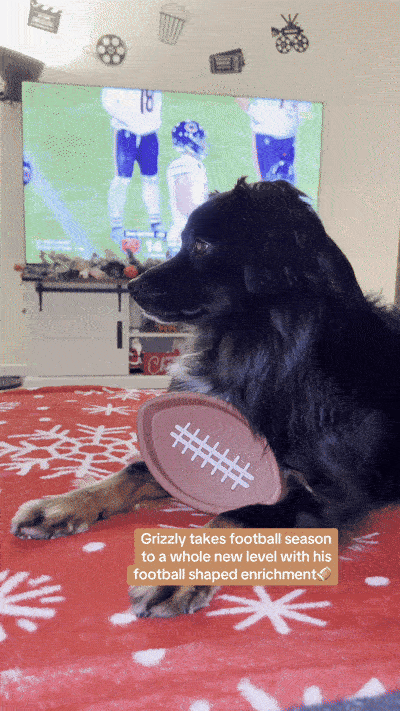 FreezFootball
