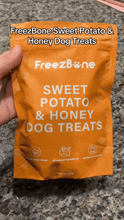 The “Post-Holiday Detox”: 5 Superfood Fillings to Reset Your Dog’s Gut