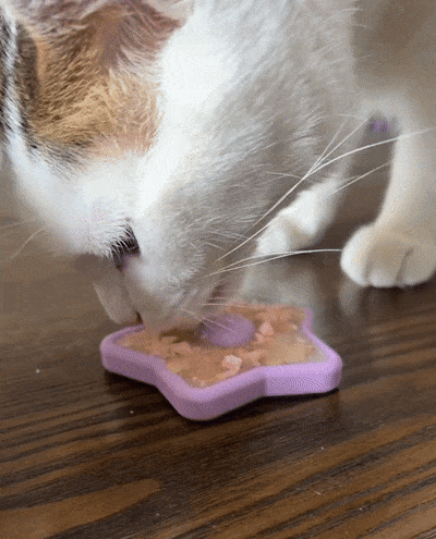 Purrfect Thanksgiving: Easy Homemade Recipes for Cats