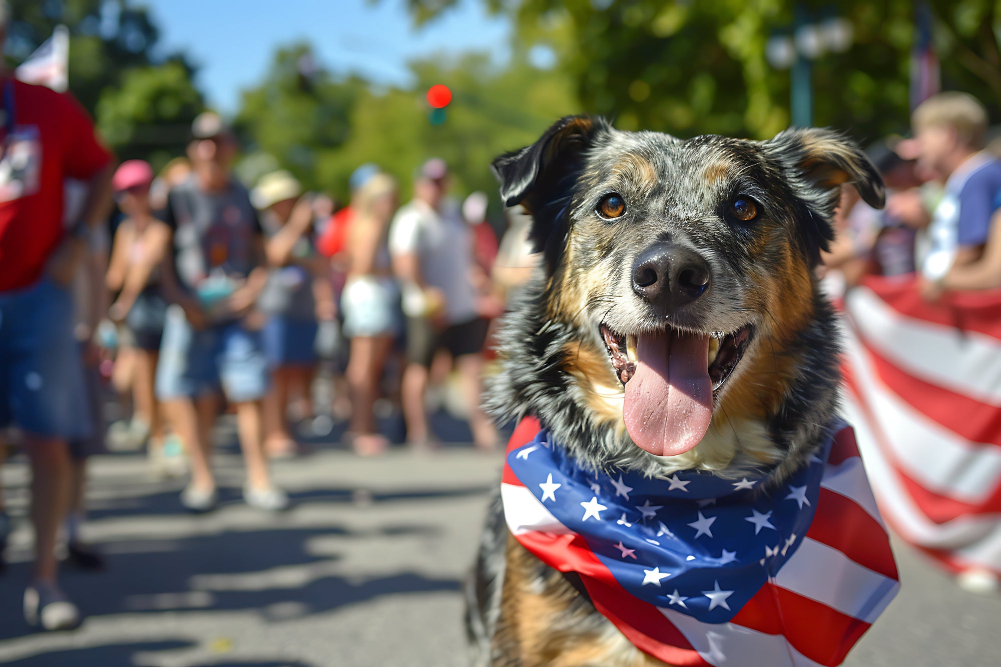 How to Keep Your Dog Calm During 4th of July Fireworks