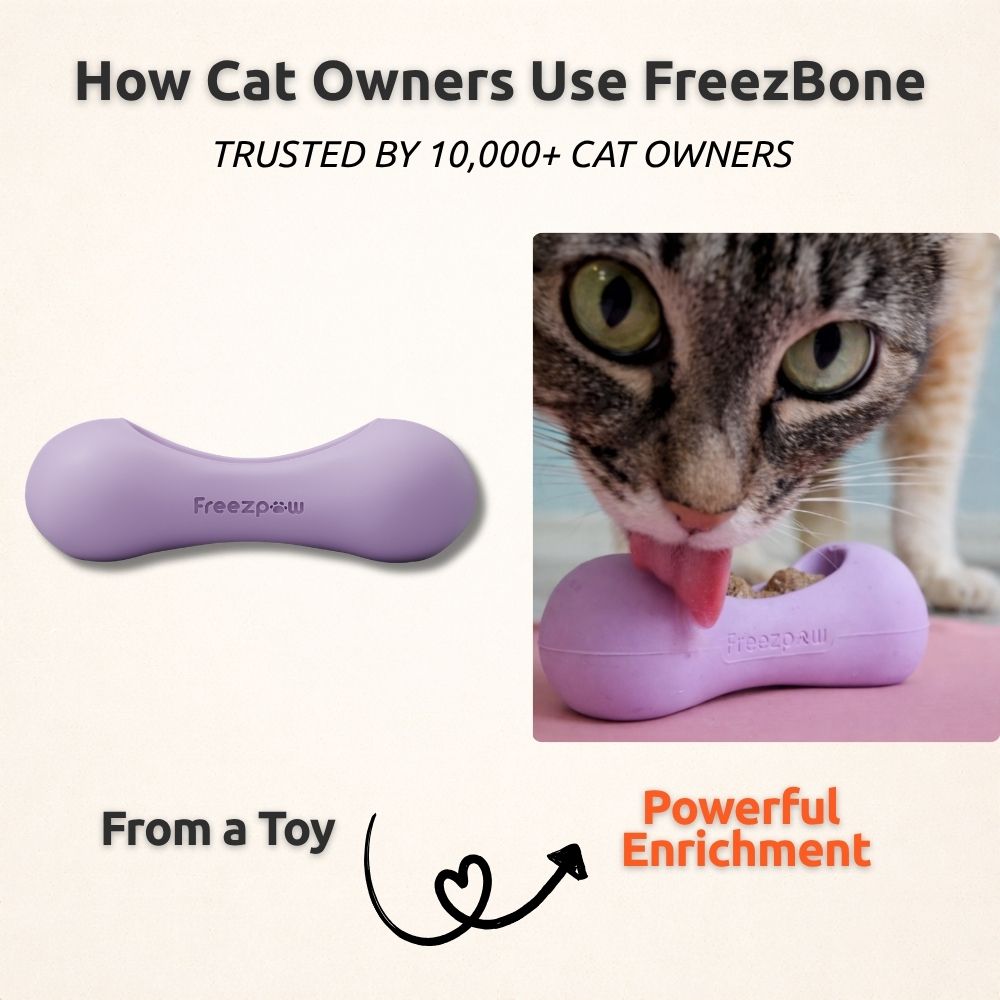 Cat Treat Toys