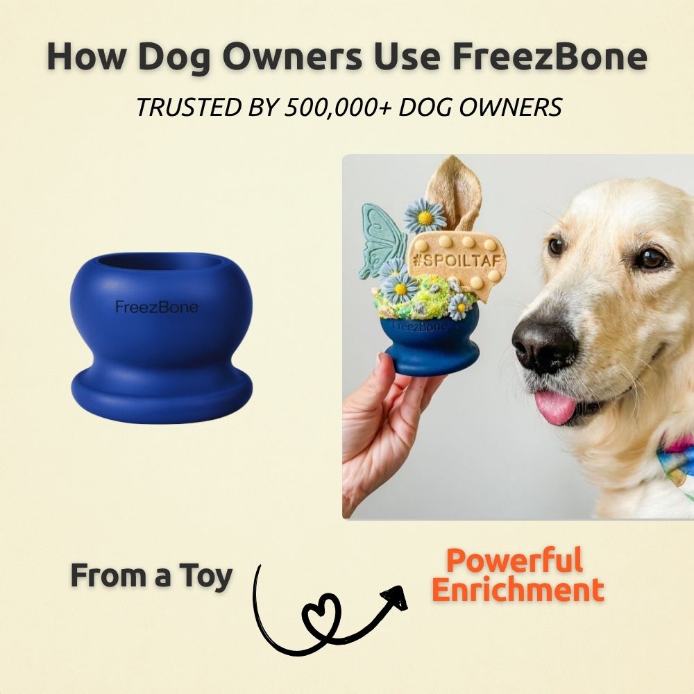 Frozen Dog Toys