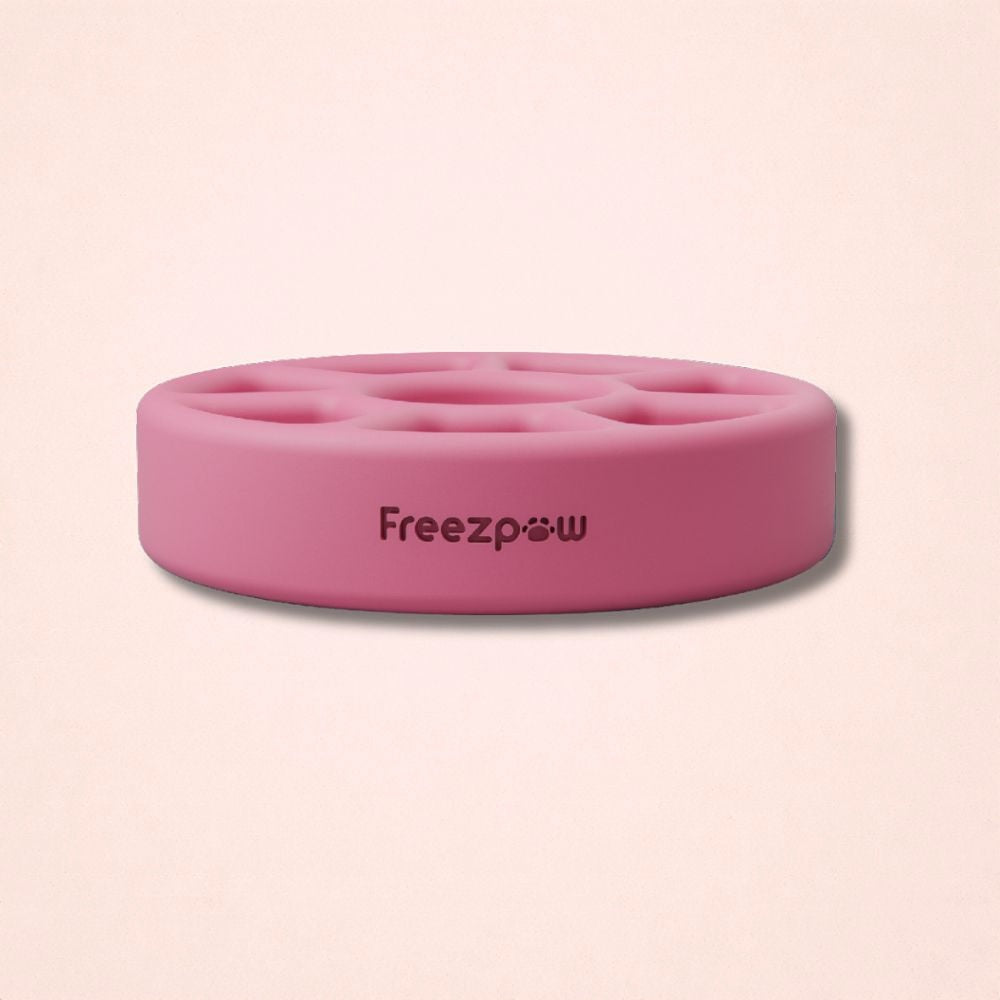 FreezSpin Cat Durable Interactive