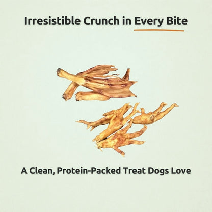 Crunchy Feet Bundle - Whole Dental Treats for Dogs - Human Grade - Single Ingredient