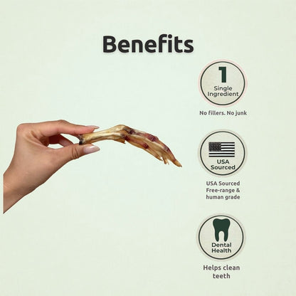 Crunchy Feet Bundle - Whole Dental Treats for Dogs - Human Grade - Single Ingredient