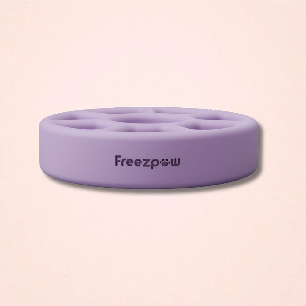 FreezSpin Cat Durable Interactive