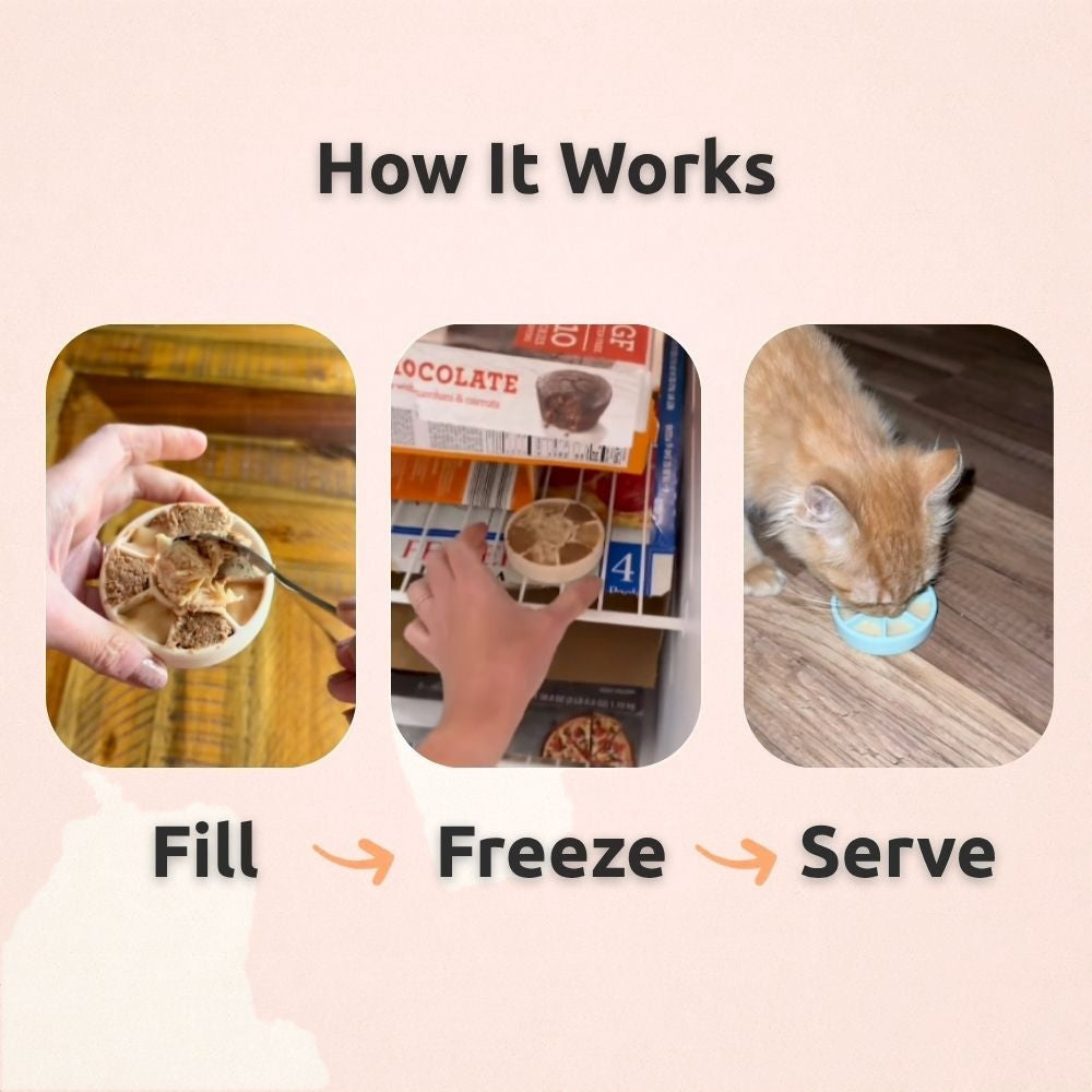 FreezSpin Cat Durable Interactive