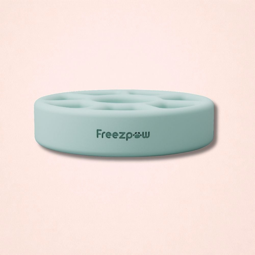 FreezSpin Cat Durable Interactive