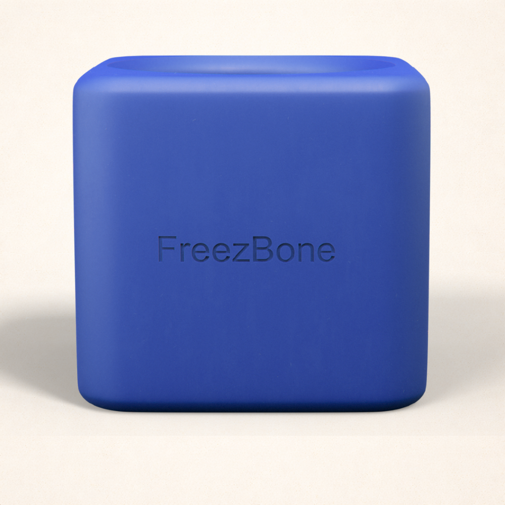 Freezbox - Super Tough Treat Toy