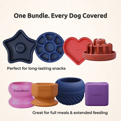 Freezbone Complete Dog Enrichment Bundle