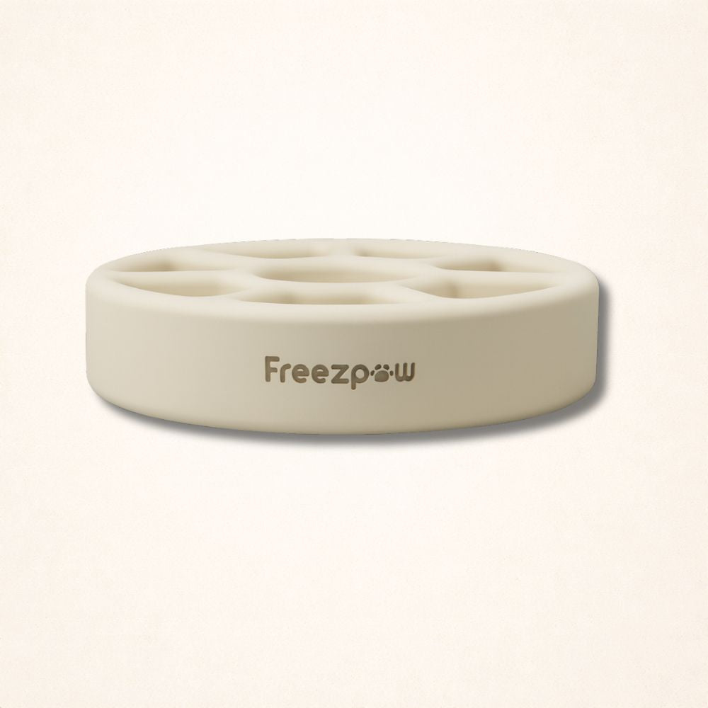 FreezSpin Cat Durable Interactive