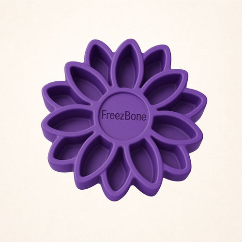 FreezSunflower - Interactive Frozen Sunflower Dog Chew For Tough Chewers