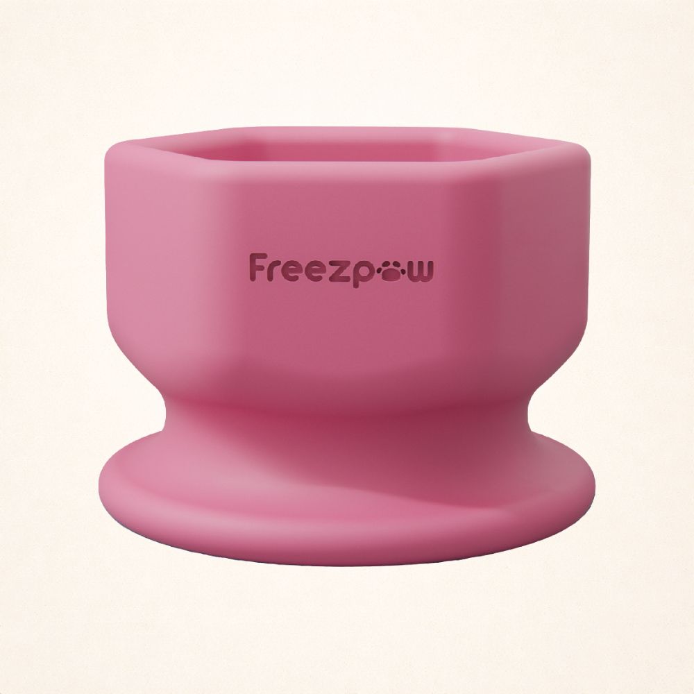 FreezSip Cat Fun Toy