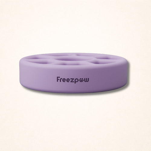 FreezSpin Cat Durable Interactive