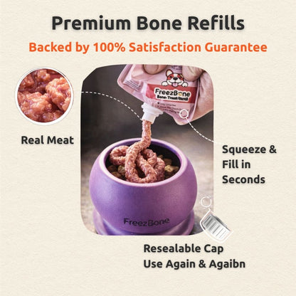 Freezball Refill Bundle - Starter favorite best selling combo