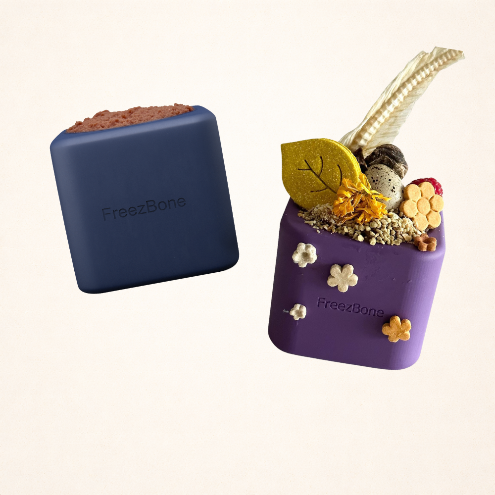 Freezbox - Super Tough Treat Toy