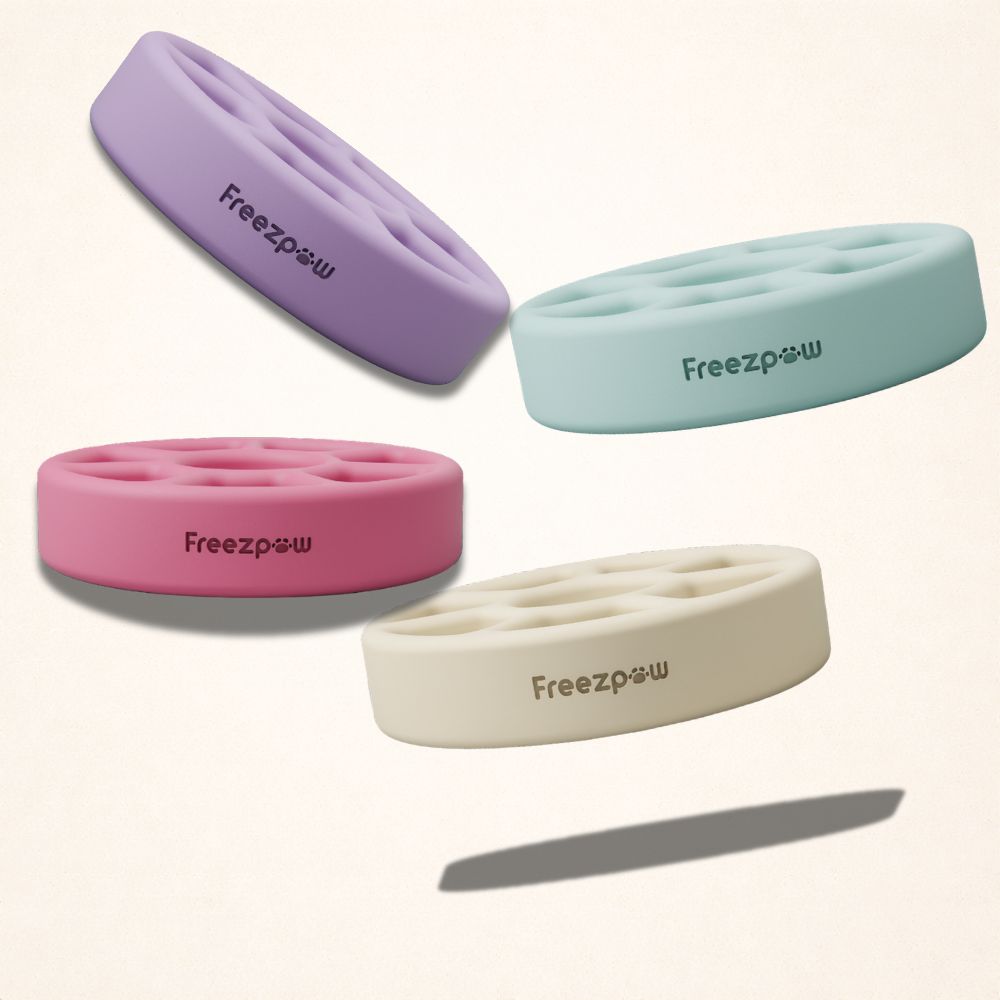 FreezSpin Cat Durable Interactive
