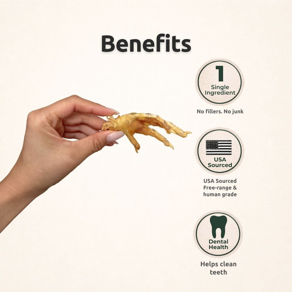 Freezbone Whole Chicken Feet Dental Treats for Dogs - Human Grade - Single Ingredient