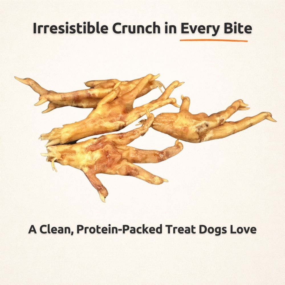 Freezbone Whole Chicken Feet Dental Treats for Dogs - Human Grade - Single Ingredient