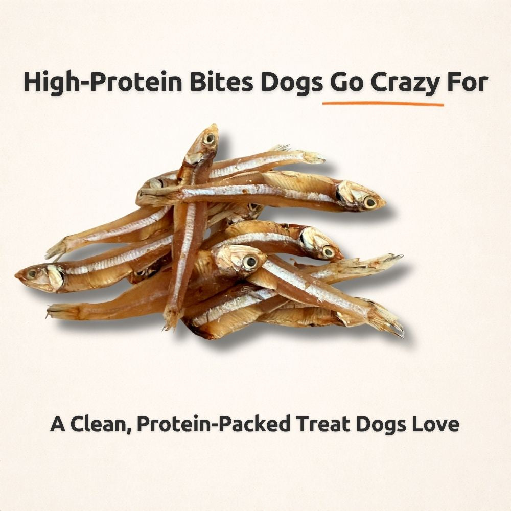 AUCTION ONLY - Freezbone Sprats - 1 single ingredient