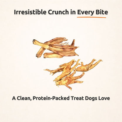 Crunchy Feet Bundle - Whole Dental Treats for Dogs - Human Grade - Single Ingredient