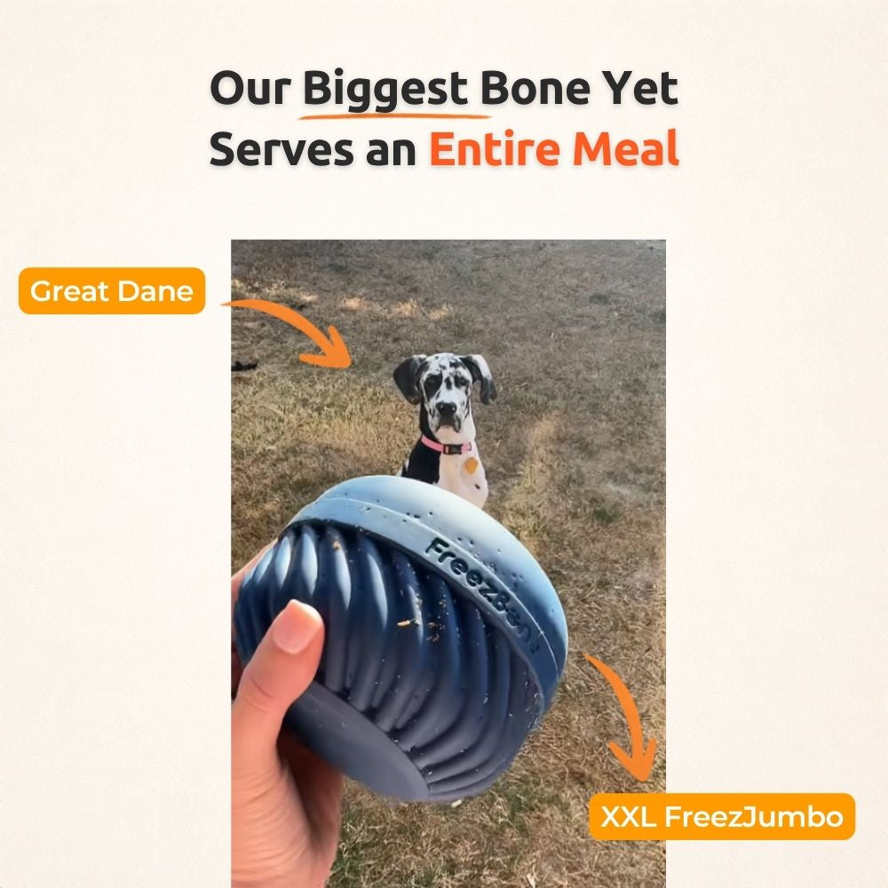FreezJumbo™ – Our Biggest & Toughest Enrichment Toy Ever