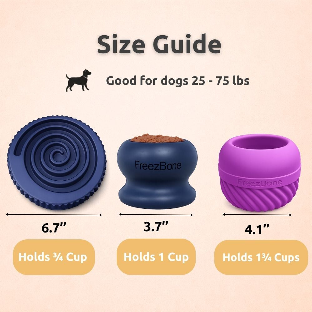 Best Seller Bundle - Our Most Popular Set