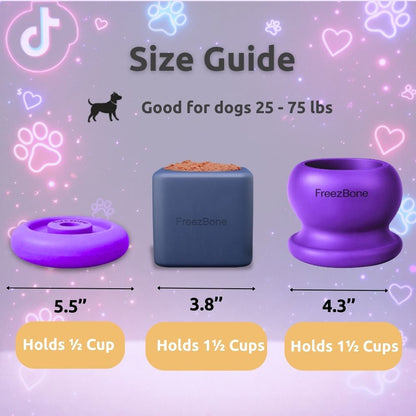 Tiktok Best Seller Bundle - The toys that go viral for a reason